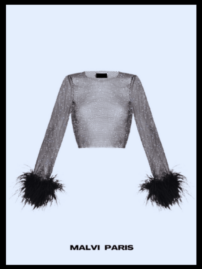 ALICIA RHINESTONE EMBELLISHED CROP TOP FEATHERS LONG SLEEVES - Jet Black - MALVI PARISMALVI PARIS